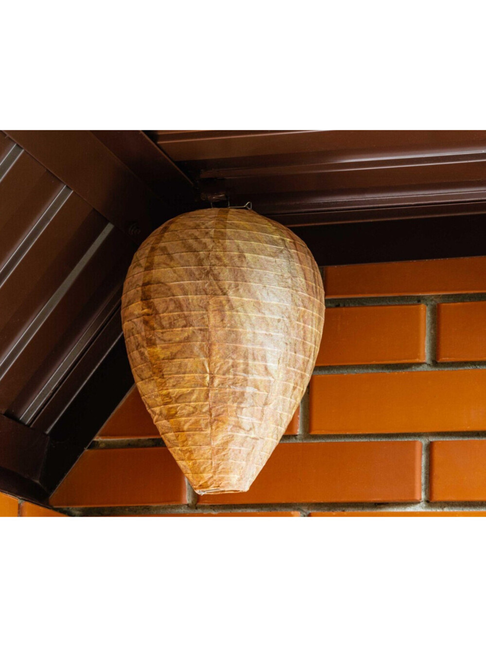 Fake Wasp Nest Decoy 11" Hanging Bee Hornet Deterrent Outdoor Garden Repellent D